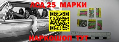 шишки Малоярославец