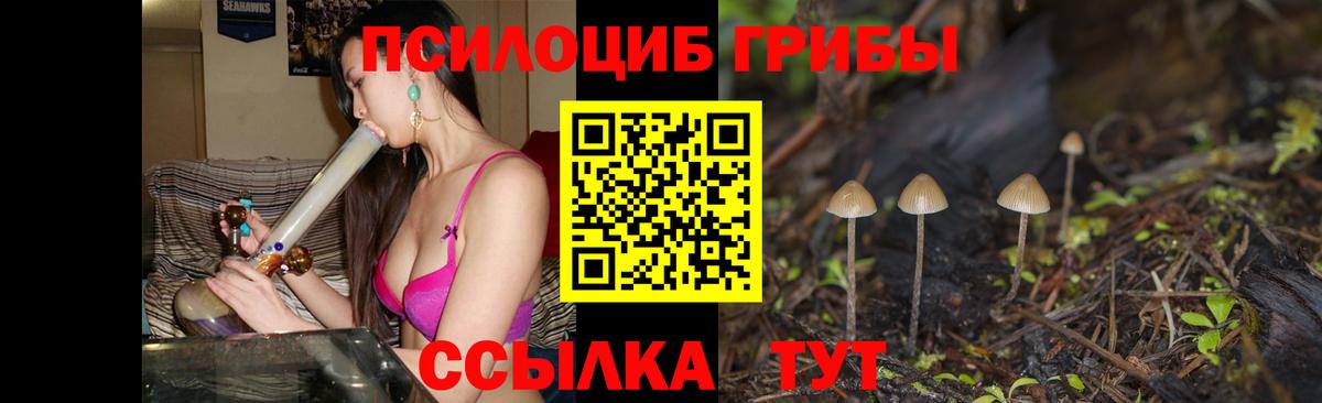 Галлюциногенные грибы Psilocybe Железноводск